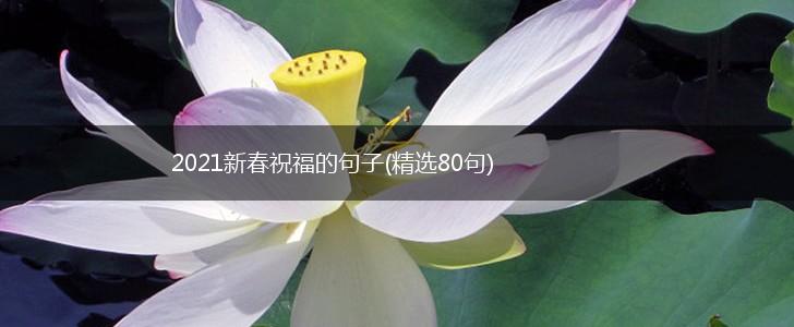 2021新春祝福的句子(精选80句),第1张