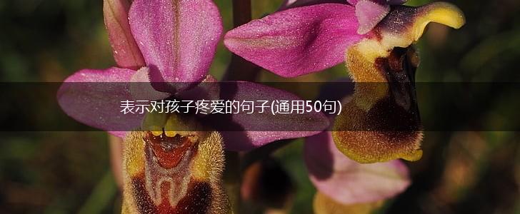 表示对孩子疼爱的句子(通用50句),第1张
