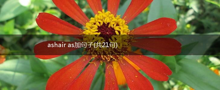 ashair as加句子(共21句),第1张