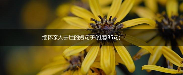 缅怀亲人去世的短句子(推荐35句),第1张