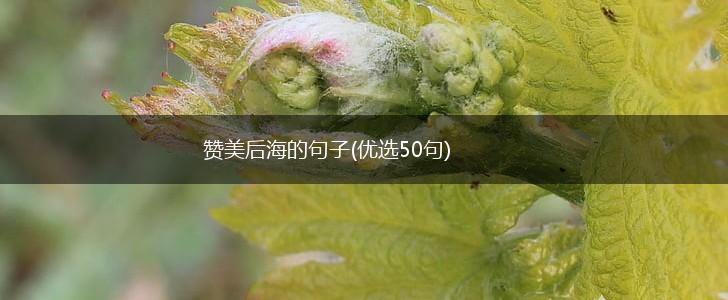 赞美后海的句子(优选50句),第1张