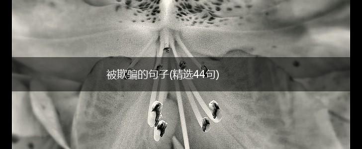 被欺骗的句子(精选44句),第1张