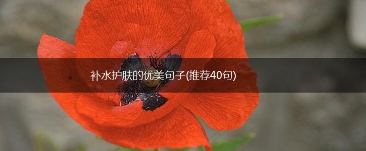 补水护肤的优美句子(推荐40句),第1张