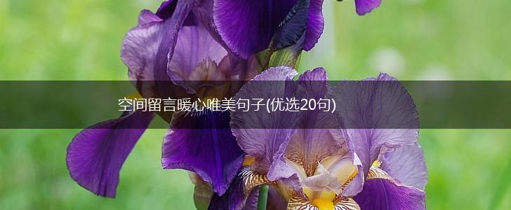 空间留言暖心唯美句子(优选20句),第1张