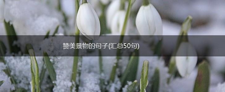 赞美景物的句子(汇总50句),第1张