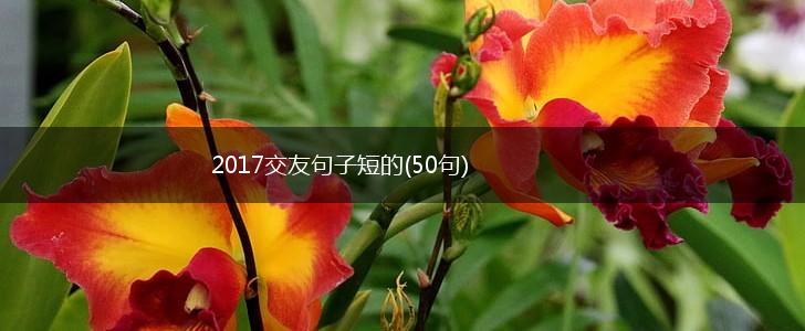 2017交友句子短的(50句),第1张