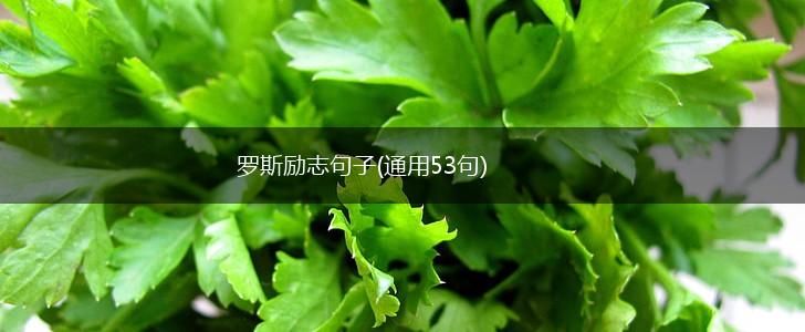 罗斯励志句子(通用53句),第1张