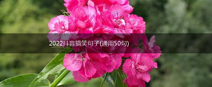 2022抖音搞笑句子(通用50句),第1张