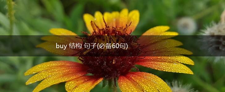 buy 结构 句子(必备60句),第1张