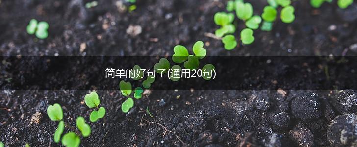 简单的好句子(通用20句),第1张