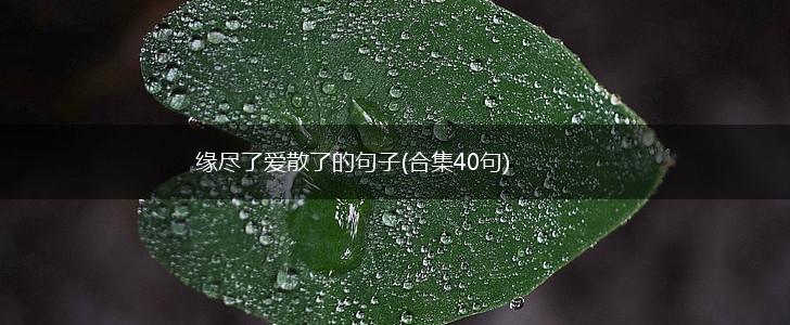 缘尽了爱散了的句子(合集40句),第1张
