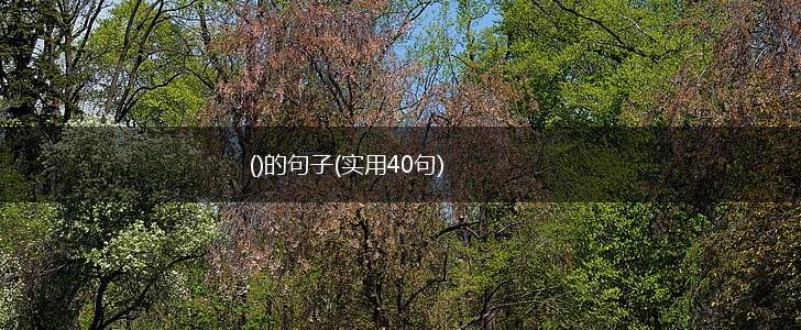 ()的句子(实用40句),第1张