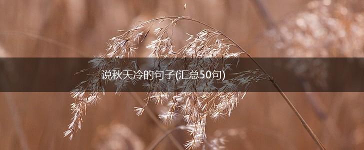 说秋天冷的句子(汇总50句),第1张