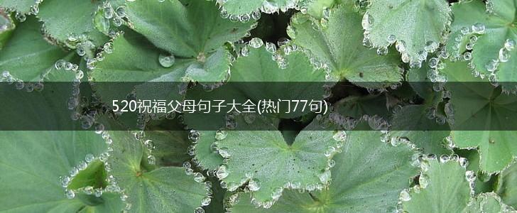 520祝福父母句子大全(热门77句),第1张