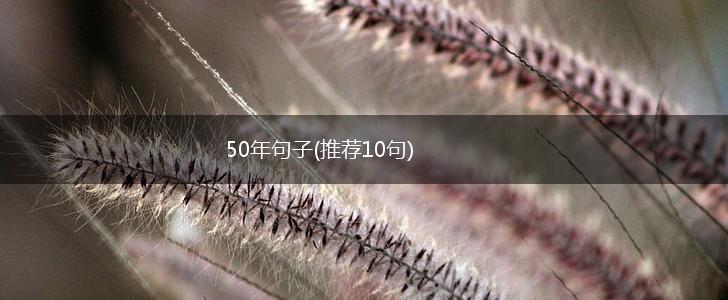 50年句子(推荐10句),第1张