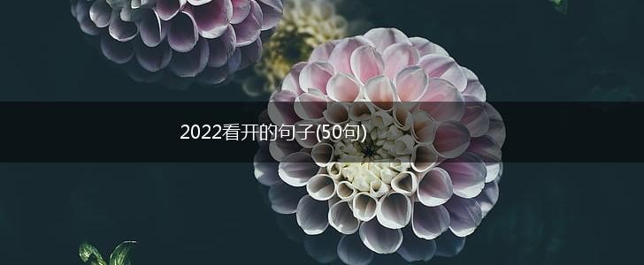 2022看开的句子(50句),第1张
