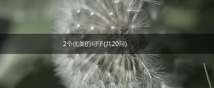 2个优美的句子(共20句),第1张