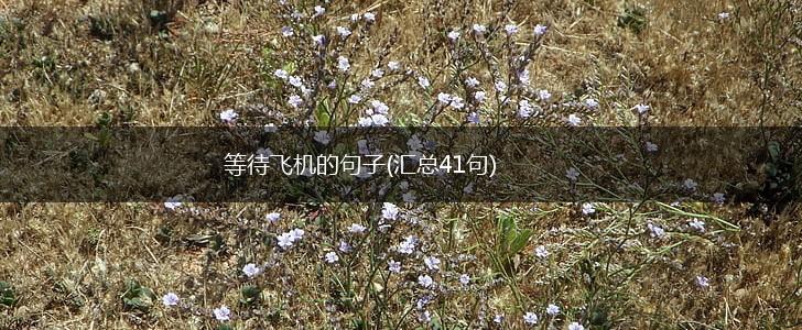 等待飞机的句子(汇总41句),第1张
