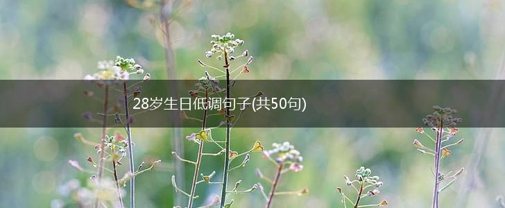 28岁生日低调句子(共50句),第1张