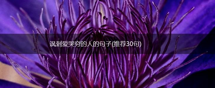 讽刺爱哭穷的人的句子(推荐30句),第1张