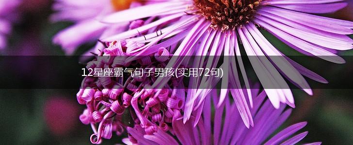 12星座霸气句子男孩(实用72句),第1张
