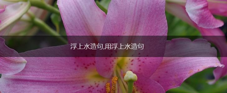 浮上水造句,用浮上水造句,第1张