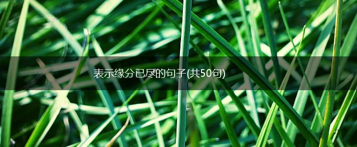 表示缘分已尽的句子(共50句),第1张