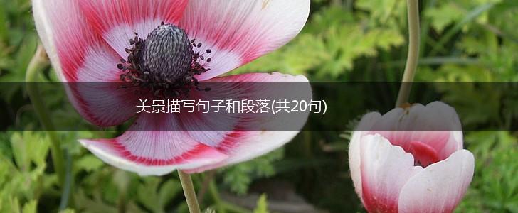 美景描写句子和段落(共20句),第1张