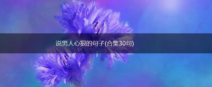 说男人心狠的句子(合集30句),第1张