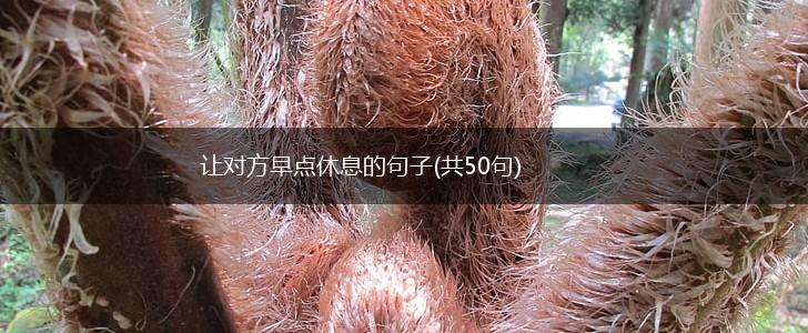 让对方早点休息的句子(共50句),第1张