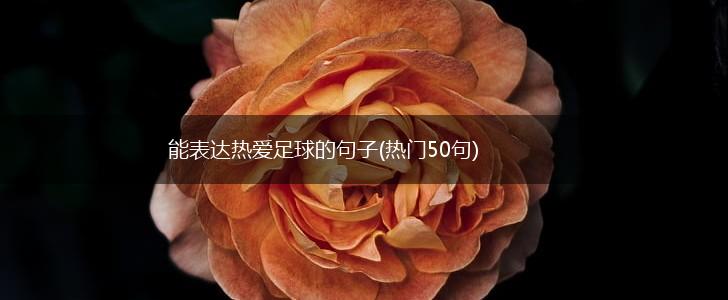 能表达热爱足球的句子(热门50句),第1张