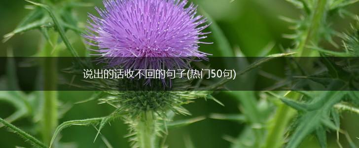说出的话收不回的句子(热门50句),第1张