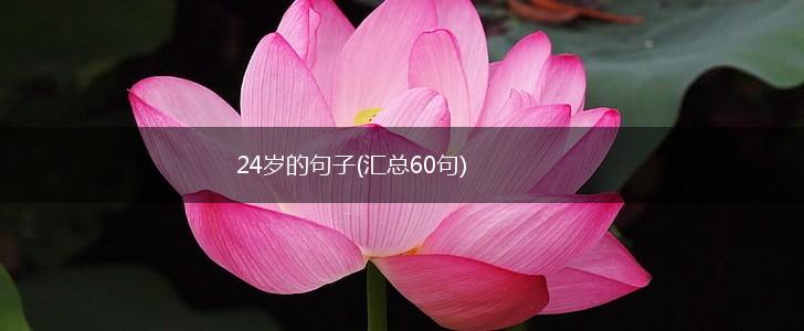 24岁的句子(汇总60句),第1张