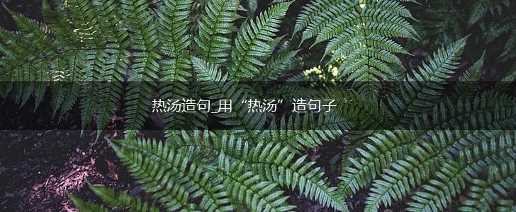 热汤造句_用“热汤”造句子,第1张