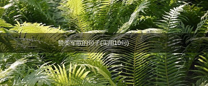 赞美军歌的句子(实用10句),第1张