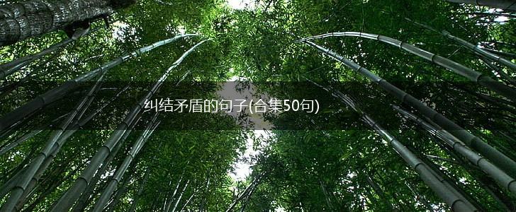 纠结矛盾的句子(合集50句),第1张