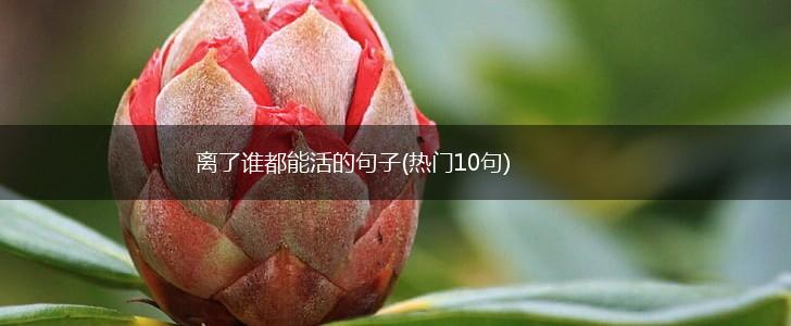离了谁都能活的句子(热门10句),第1张