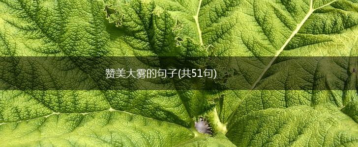 赞美大雾的句子(共51句),第1张
