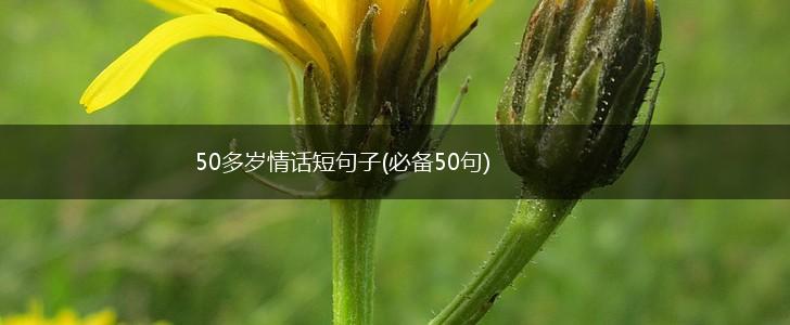 50多岁情话短句子(必备50句),第1张