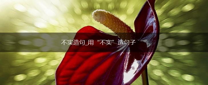 不实造句_用“不实”造句子,第1张