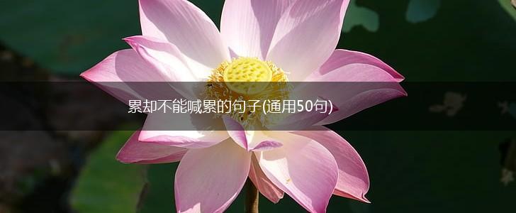 累却不能喊累的句子(通用50句),第1张