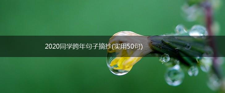 2020同学跨年句子摘抄(实用50句),第1张