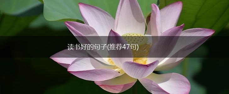读书好的句子(推荐47句),第1张