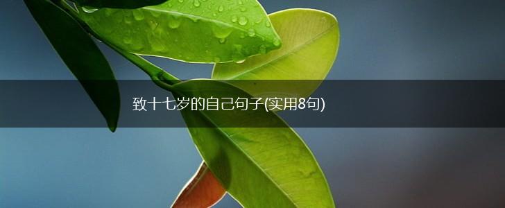 致十七岁的自己句子(实用8句),第1张