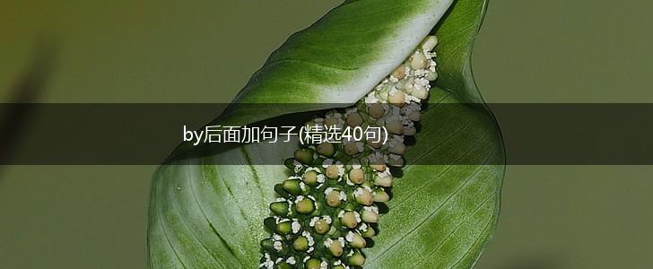 by后面加句子(精选40句),第1张