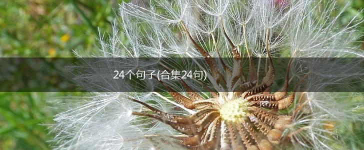 24个句子(合集24句),第1张