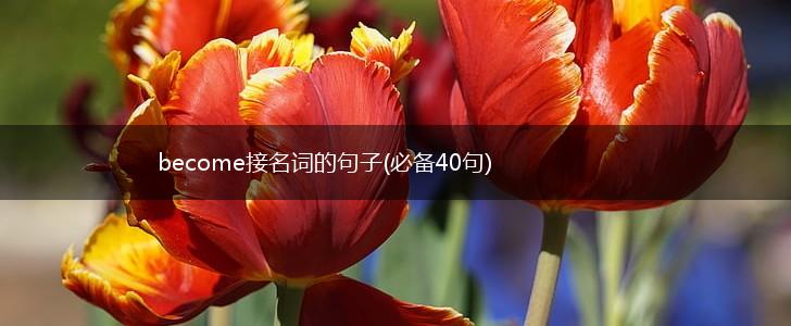 become接名词的句子(必备40句),第1张
