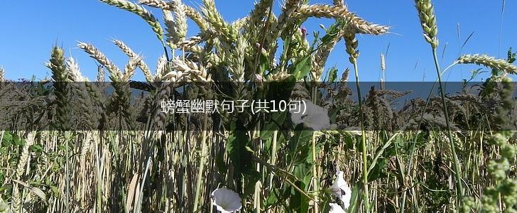 螃蟹幽默句子(共10句),第1张