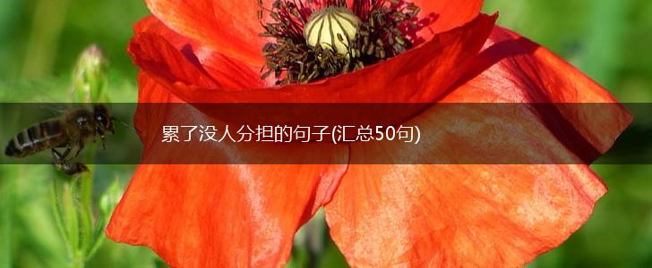 累了没人分担的句子(汇总50句),第1张