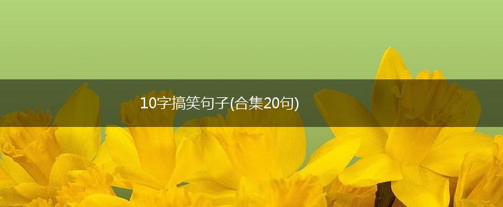 10字搞笑句子(合集20句),第1张